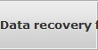 Data recovery for Scottsdale data
